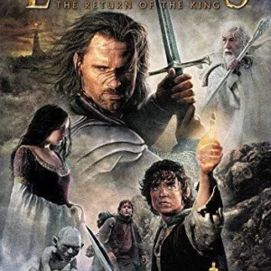 The Lord Of The Rings: The Return Of The King Elijah Wood 2015 DVD Top-quality