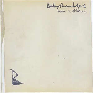 Down In Albion Babyshambles 2005 CD Top-quality Free UK shipping