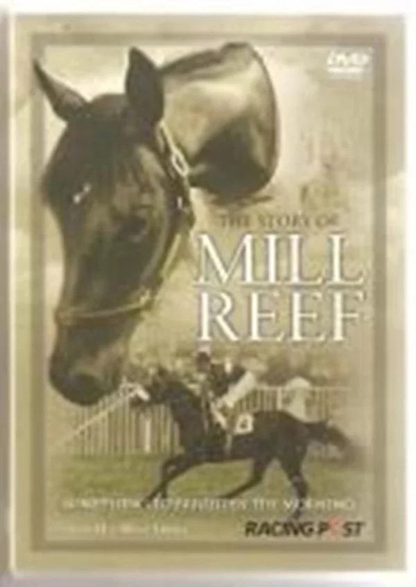 THE STORY OF MILL REEF Something to Brighten The Morning 2008 DVD Top-quality