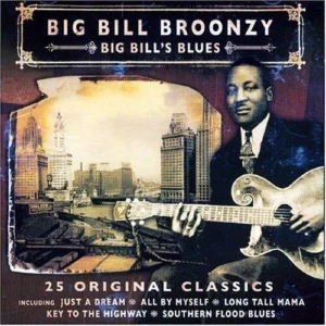 Big Bill's Blues Big Bill Broonzy 2005 CD Top-quality Free UK shipping