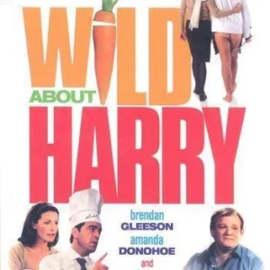 Wild About Harry Brendan Gleeson 2004 DVD Top-quality Free UK shipping