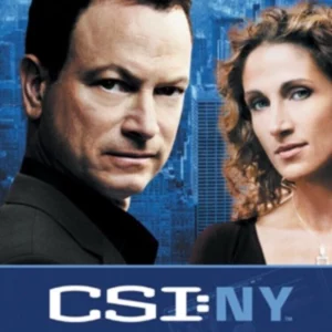 CSI: New York - Complete Season 4 Gary Sinise 2010 DVD Top-quality