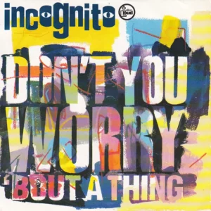 Don't You Worry 'Bout A Thing Incognito 1992 Records Top-quality