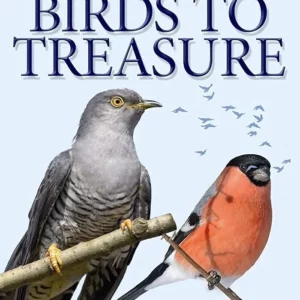 British Birds To Treasure 2009 DVD Top-quality Free UK shipping