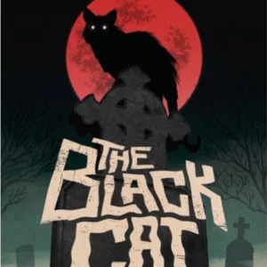 The Black Cat 2016 DVD Top-quality Free UK shipping