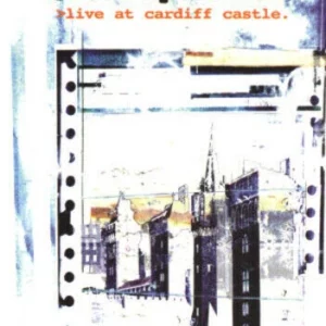 Stereophonics: Live At Cardiff Castle - 2005 DVD Top-quality Free UK shipping