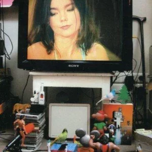 Björk: Unplugged/Live 'n' Loud On MTV Bjork 2001 DVD Top-quality