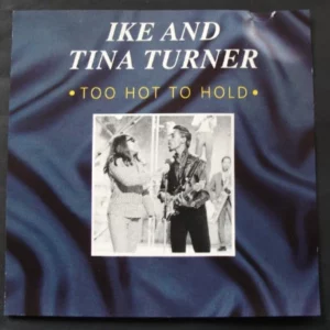 Too Hot To Hold Ike & Tina Turner 1992 CD Top-quality Free UK shipping