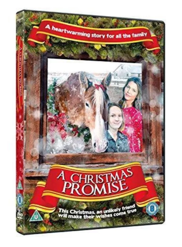 A Christmas Promise Patrick Muldoon DVD Top-quality Free UK shipping