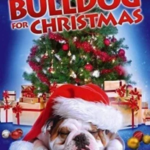 Bulldog For Christmas Eric Ryan 2014 DVD Top-quality Free UK shipping