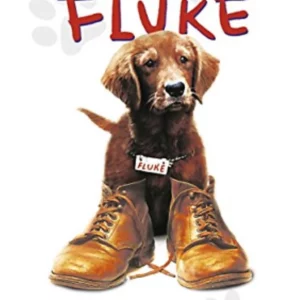 Fluke Nancy Travis 2013 DVD Top-quality Free UK shipping