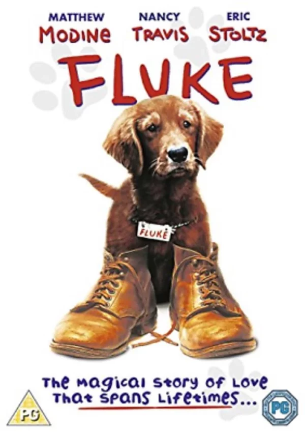 Fluke Nancy Travis 2013 DVD Top-quality Free UK shipping