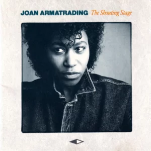 The Shouting Stage Joan Armatrading 1988 CD Top-quality Free UK shipping