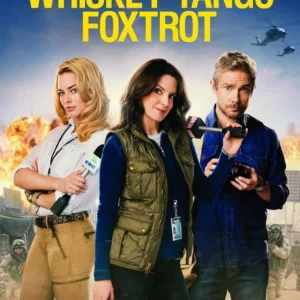 Whiskey Tango Foxtrot Billy Bob Thorton 2016 DVD Top-quality Free UK shipping