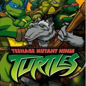 Teenage Mutant Ninja Turtles, Vol. 3: The Way Of Invisibility 2004 DVD