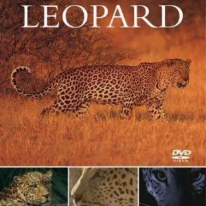 BBC Wildlife Specials: Leopard David Attenborough 2004 DVD Top-quality