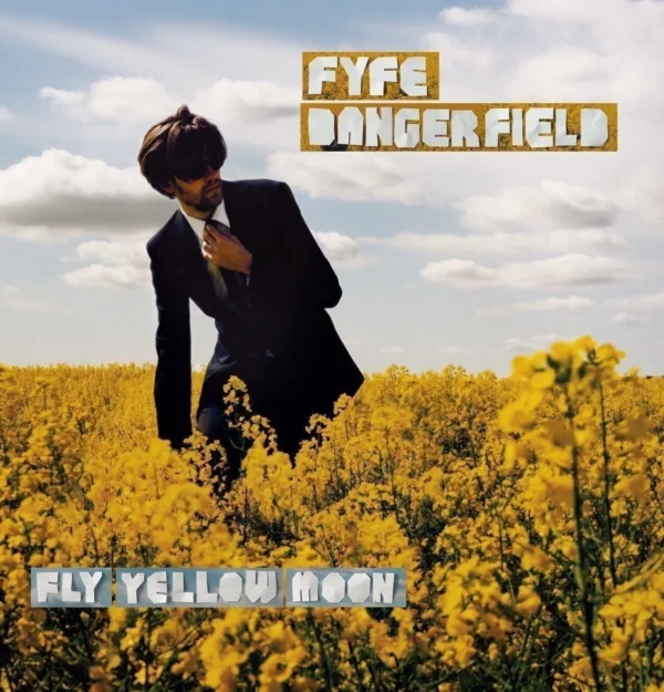 Fly Yellow Moon Fyfe Dangerfield CD Top-quality Free UK shipping