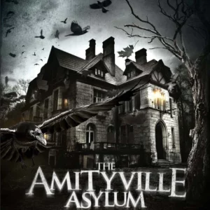The Amityville Asylum Eileen Daly 2014 New DVD Top-quality Free UK shipping