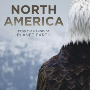 North America - Discovery Channel 2013 DVD Top-quality Free UK shipping