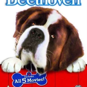 Beethoven: The Pooch Pack Judge Reinhold 2010 New DVD Top-quality