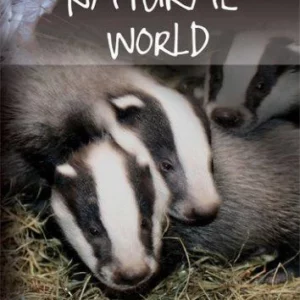 Natural World: Badgers - Secrets of the Sett David Attenborough 2008 DVD