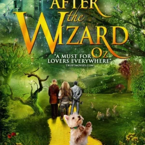After The Wizard Jordan Van Vranken 2014 DVD Top-quality Free UK shipping
