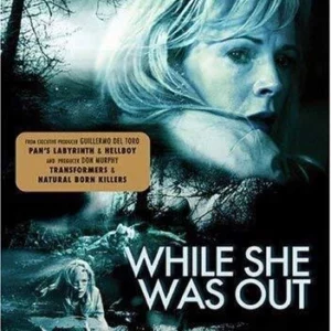 While She Was Out Kim Basinger 2008 New DVD Top-quality Free UK shipping