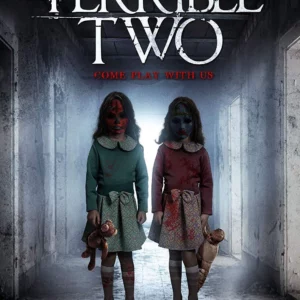 The Terrible Two Donny Boaz 2018 DVD Top-quality Free UK shipping