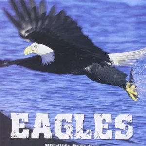 Wildlife Paradise - Eagles 2005 New DVD Top-quality Free UK shipping