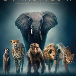 Dynasties II David Attenborough 2022 DVD Top-quality Free UK shipping