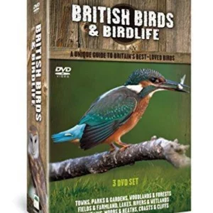 Best of British Birds New DVD Top-quality Free UK shipping