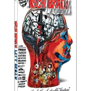 Right Brain Left Brain