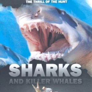 Killer Instinct - Sharks And Killer Whales
