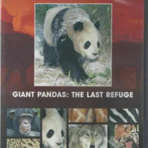 Giant Pandas: The Last Refuge