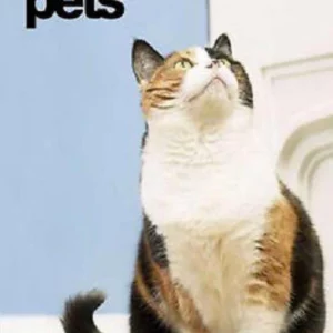 How To Take Care Of Your Pets