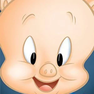 Porky Pig and Friends