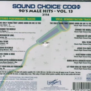 Vol. 13-90's Male Hits