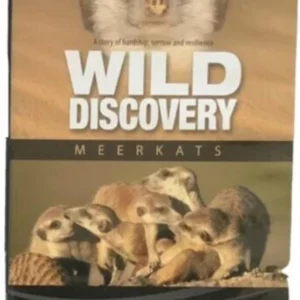 Meerkats