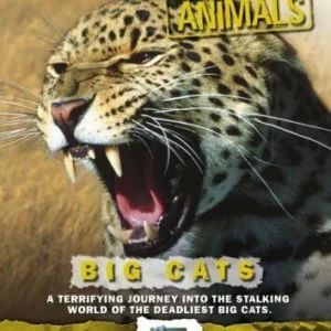 World's Most Dangerous Animals - Big Cats