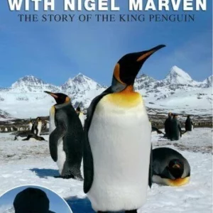 Penguin Safari with Nigel Marven