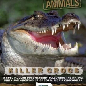 World's Most Dangerous Animals - Killer Crocs [DVD]