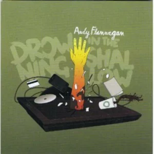 Andy Flannagan : Drowning in the Shallow
