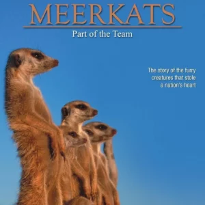 Meerkats