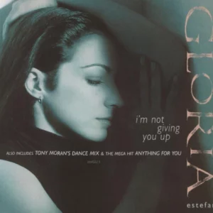 Im Not Giving You Up