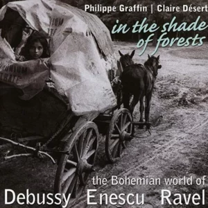 In the Shade of Forests