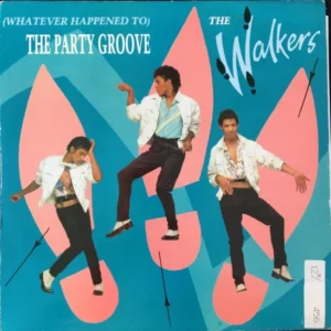 The Party Groove