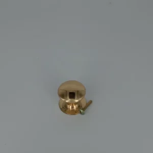 Large Knob With Backplate Brass