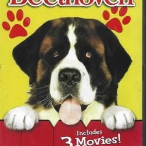 Beethoven / Beethoven's 2nd / 3rd