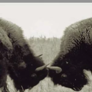 U2 - Best of 1990 - 2000