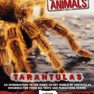 World's Most Dangerous Animals - Tarantulas